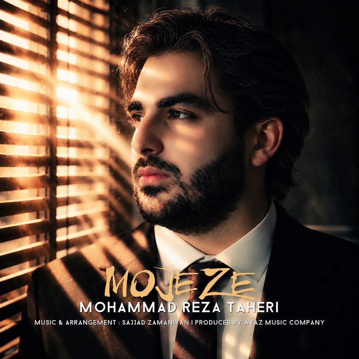 محمدرضا طاهری